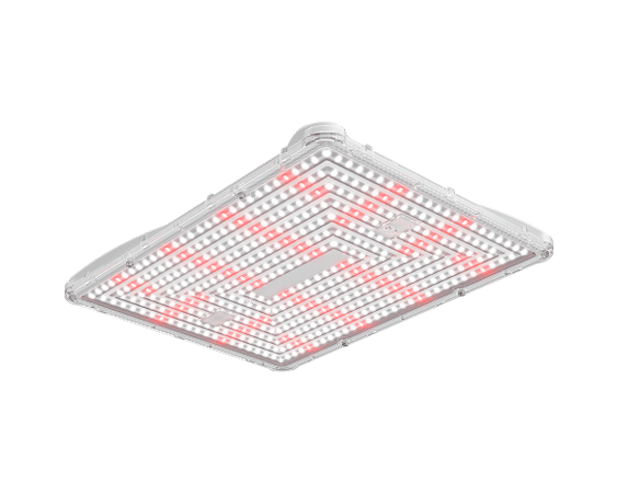 Secret Jardin LED Power Pack 250W FS - GROWBOX.CH