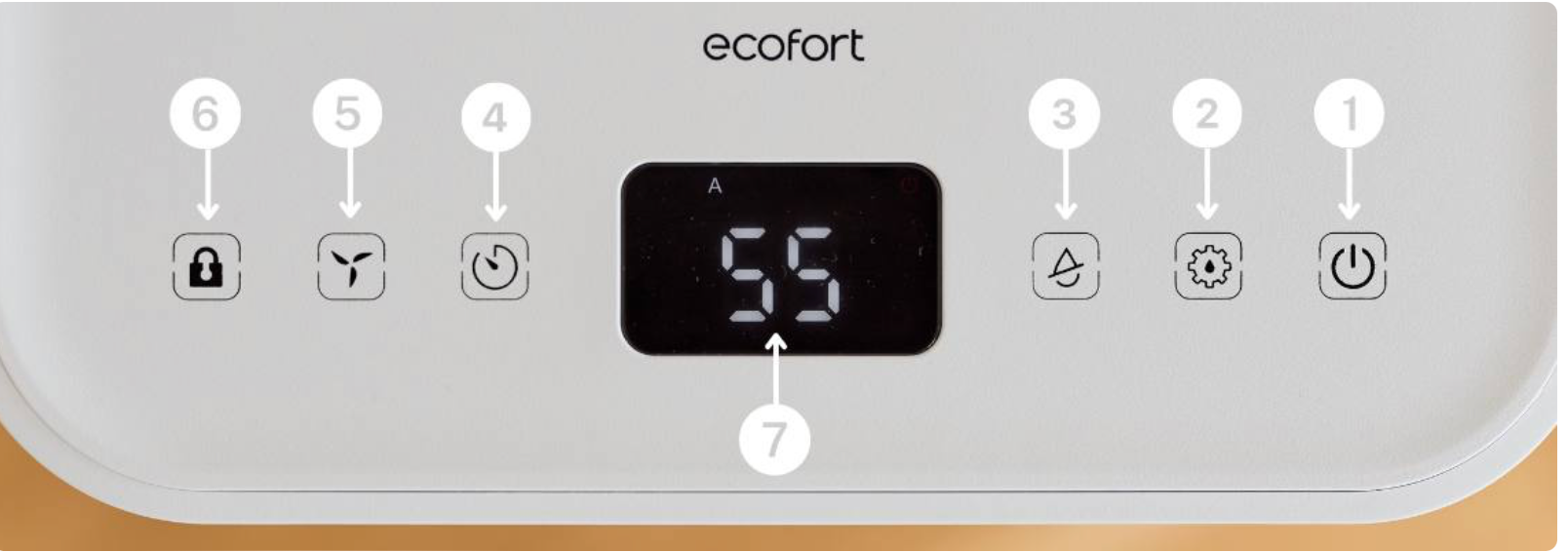 Ecofort