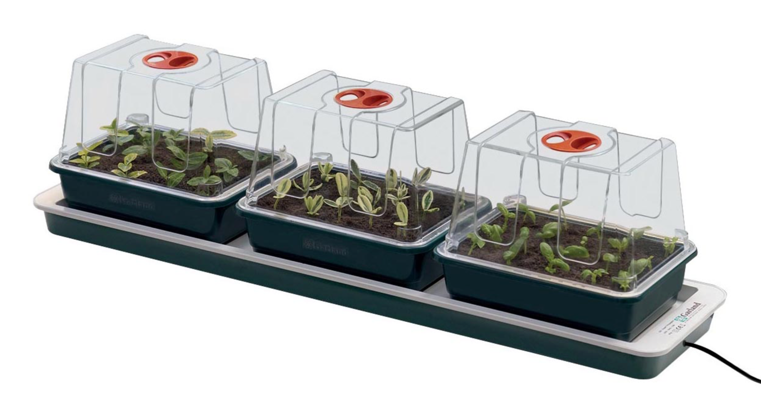 Propagator