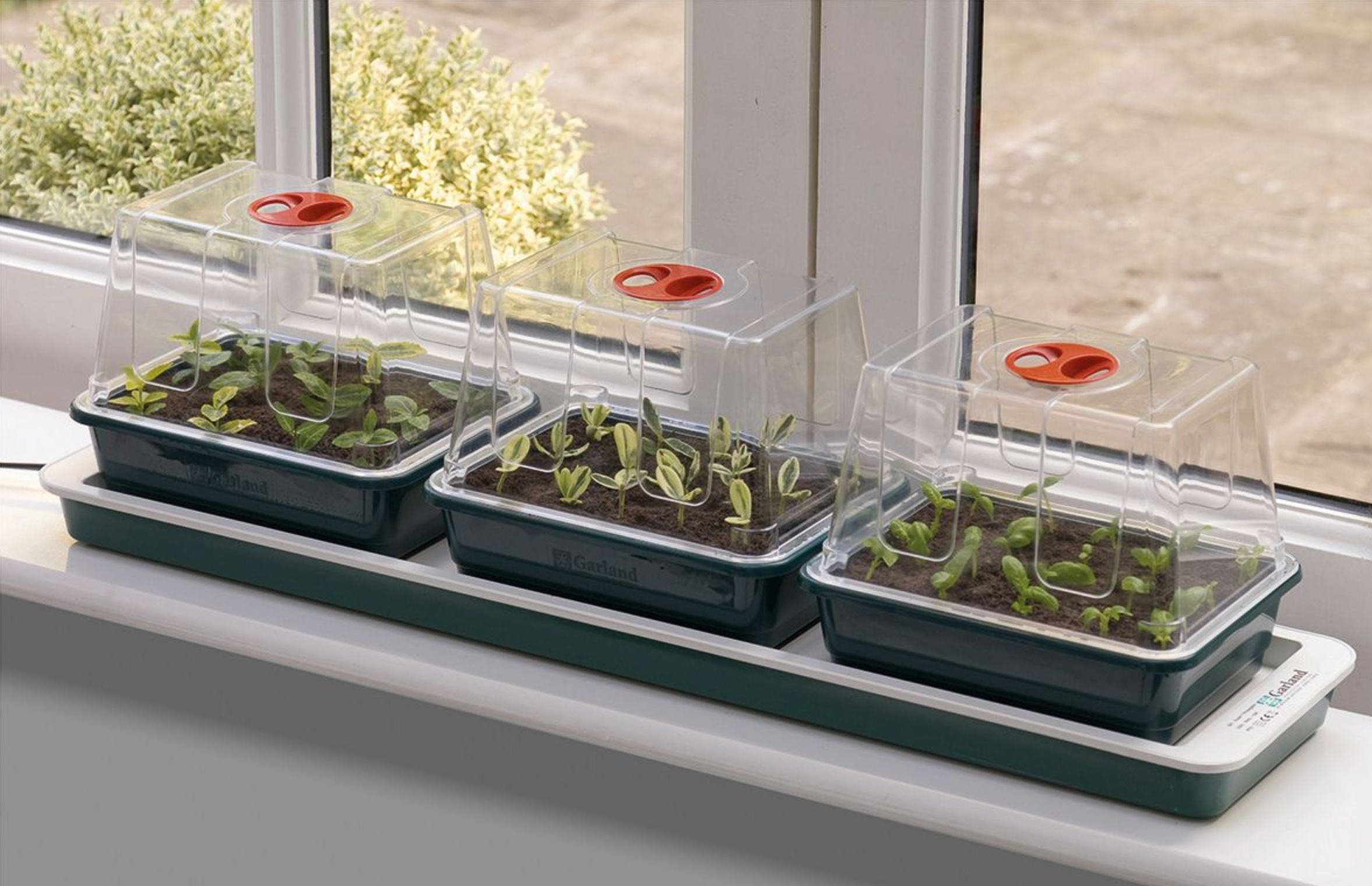 Propagator