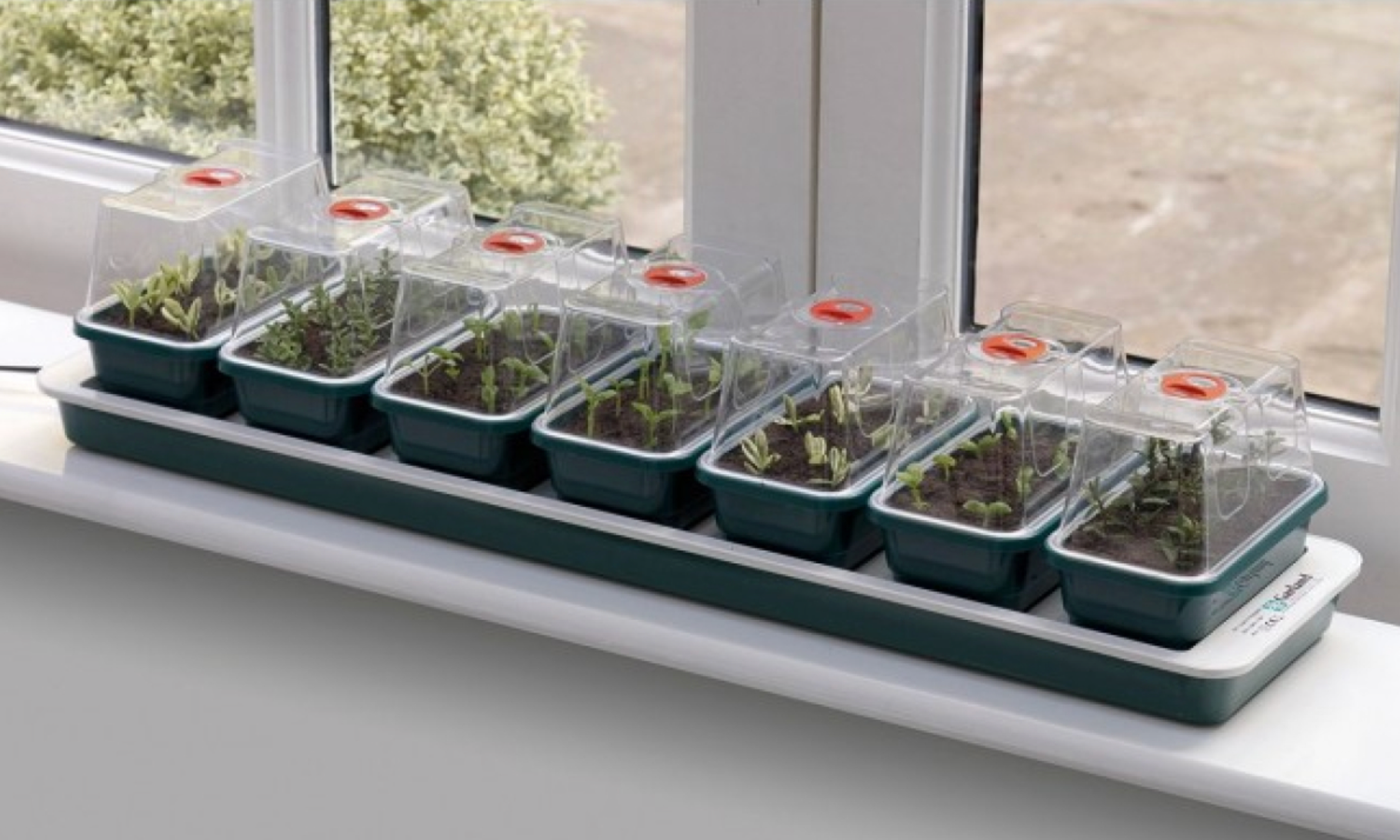 Propagator