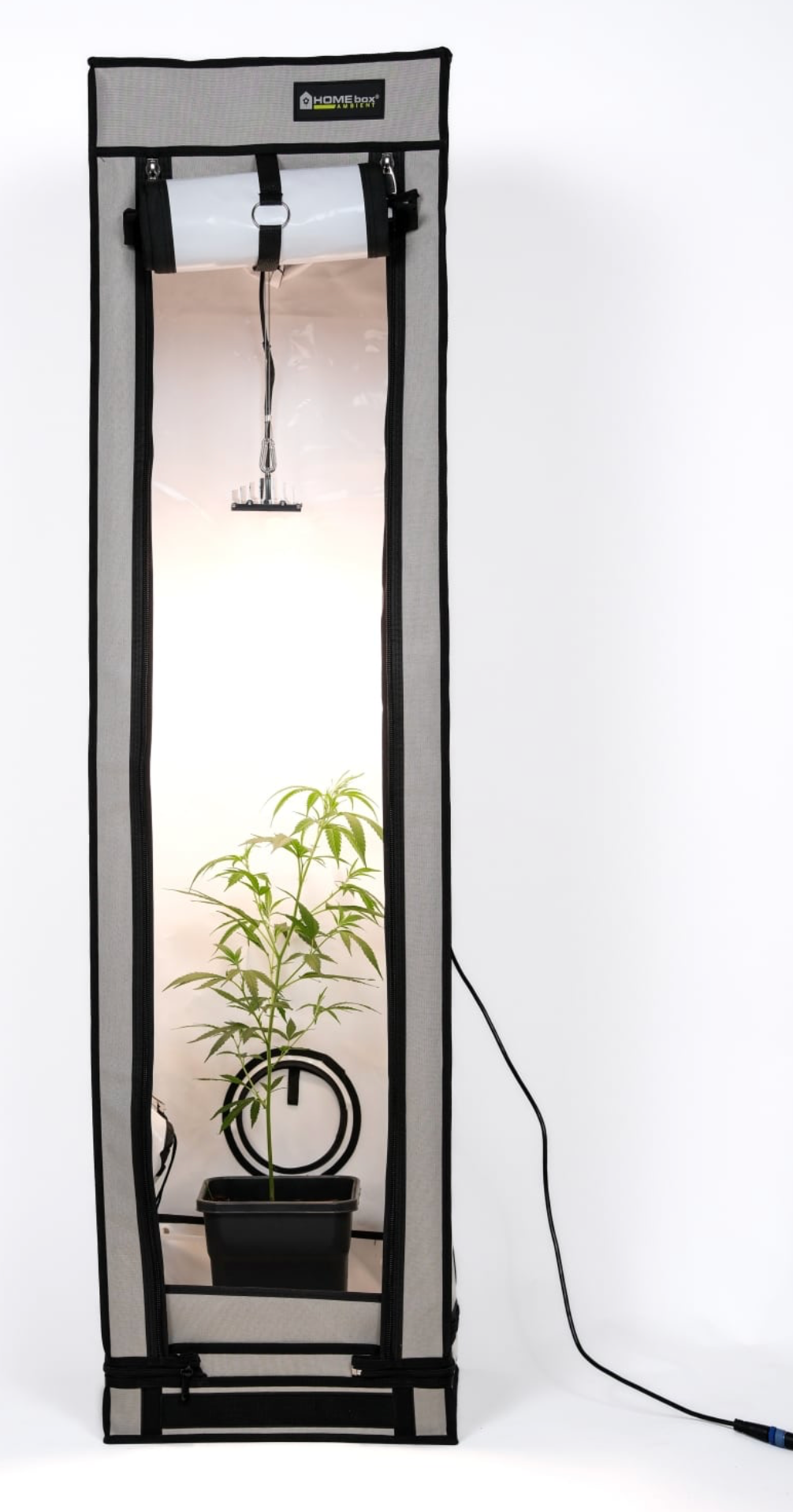 Sanlight Stixx 50 LED