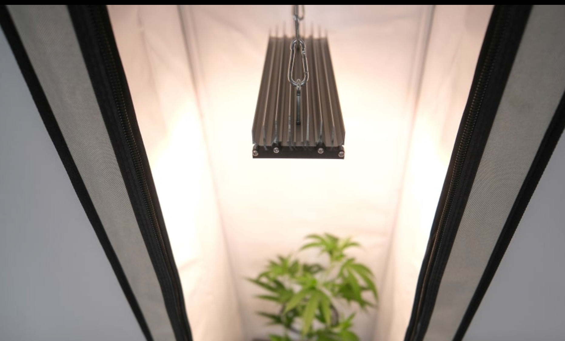 Sanlight Stixx 50 LED