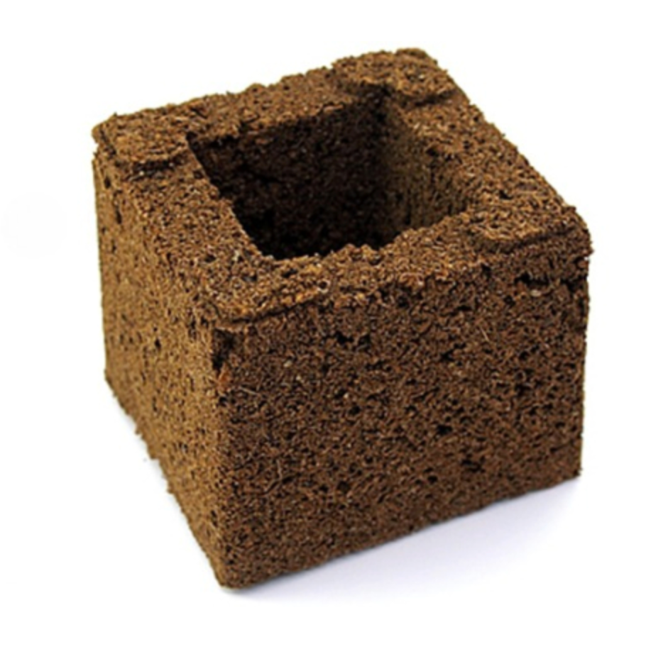 Eazy Block für Hanf Steckling ø 3.8 cm Loch