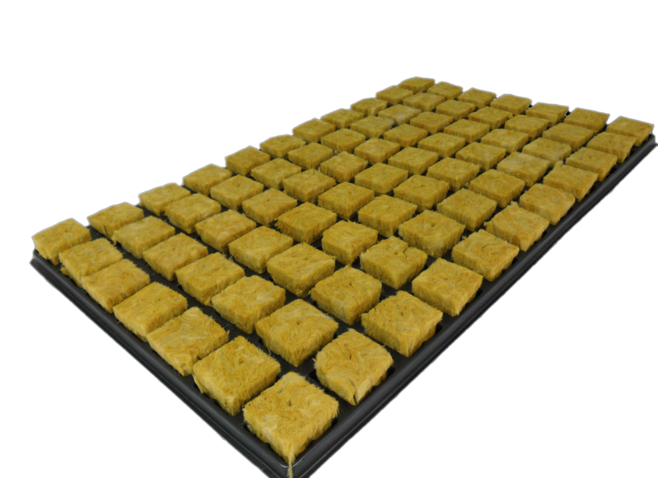Stecklings Tray von Cultilene für 77 Pflanzen