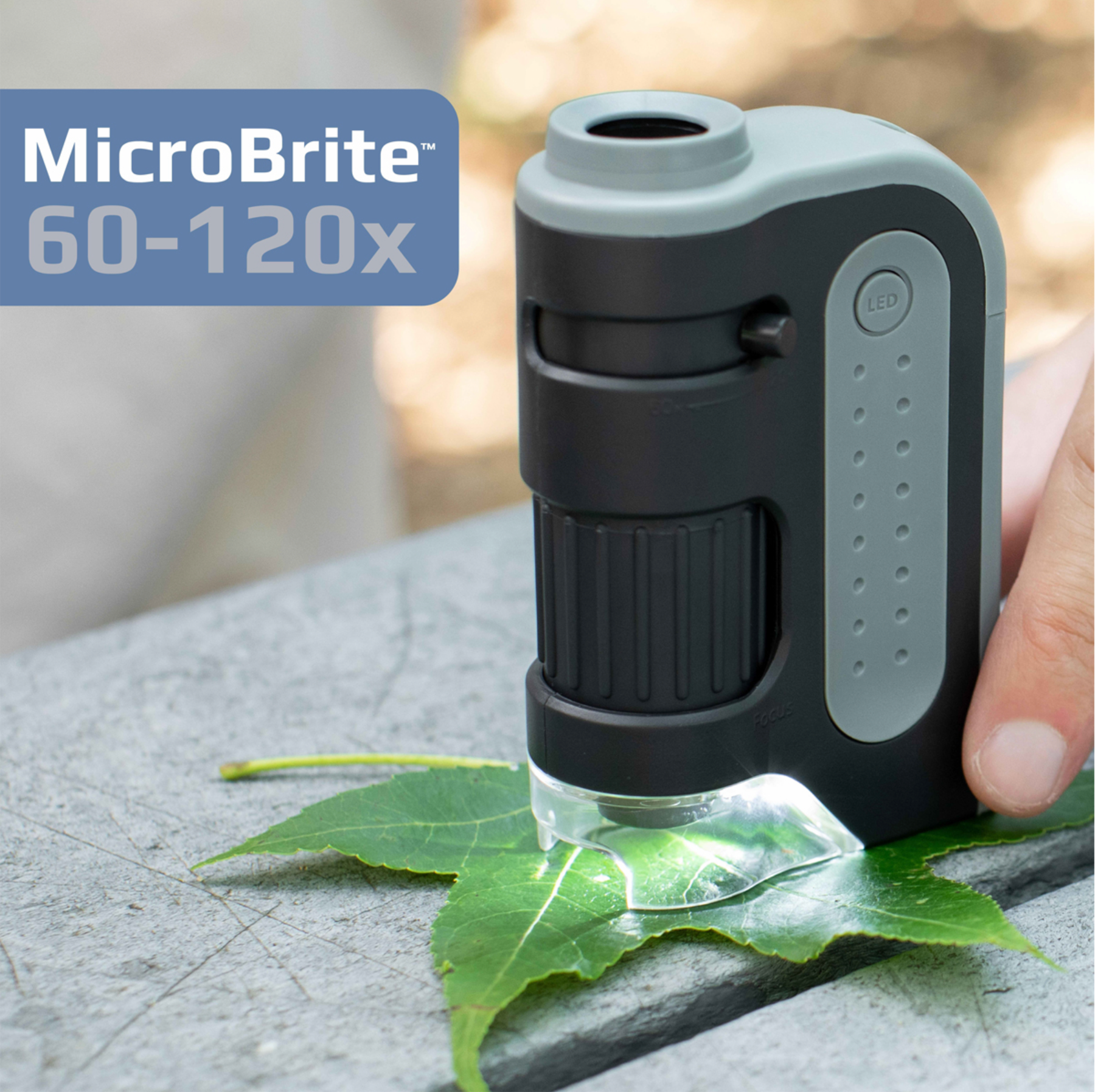 Mikroskop | Carson MicroBrite Plus® 60-120x LED Lighted Pocket Microscope - GROWBOX.CH