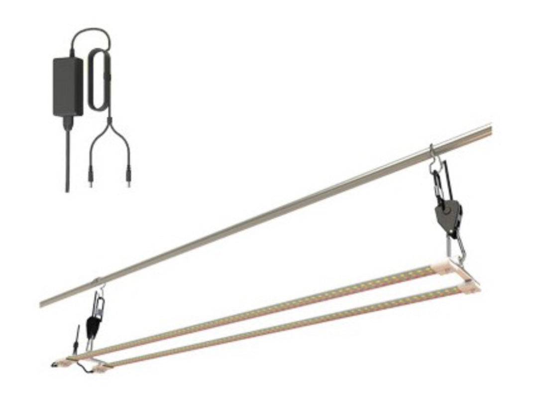 Cosmorrow Lampe