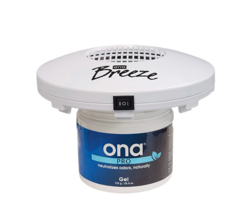 ONA Breeze mit Glas