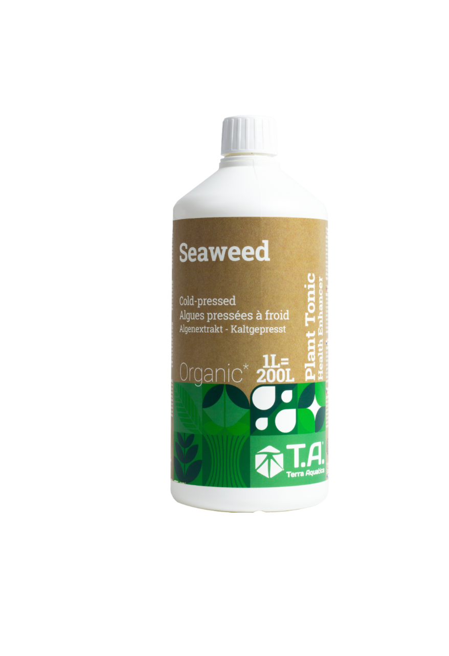 1 Liter Flasche Seaweed von Terra Aquatica
