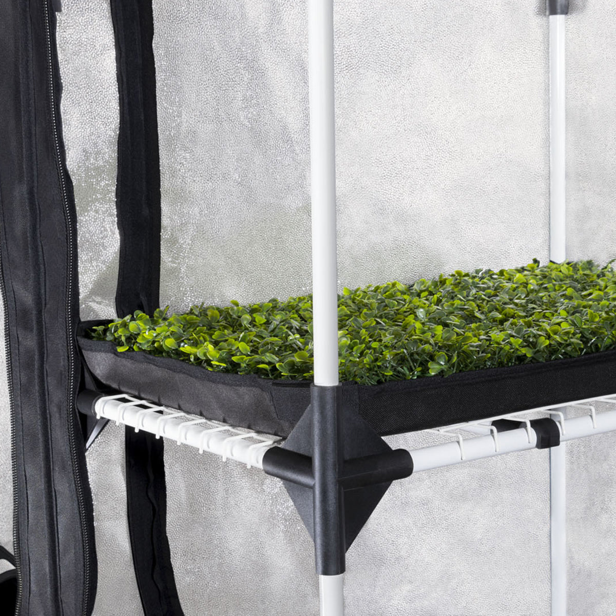 Growbox