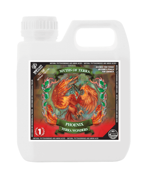 Terra Power Phönix