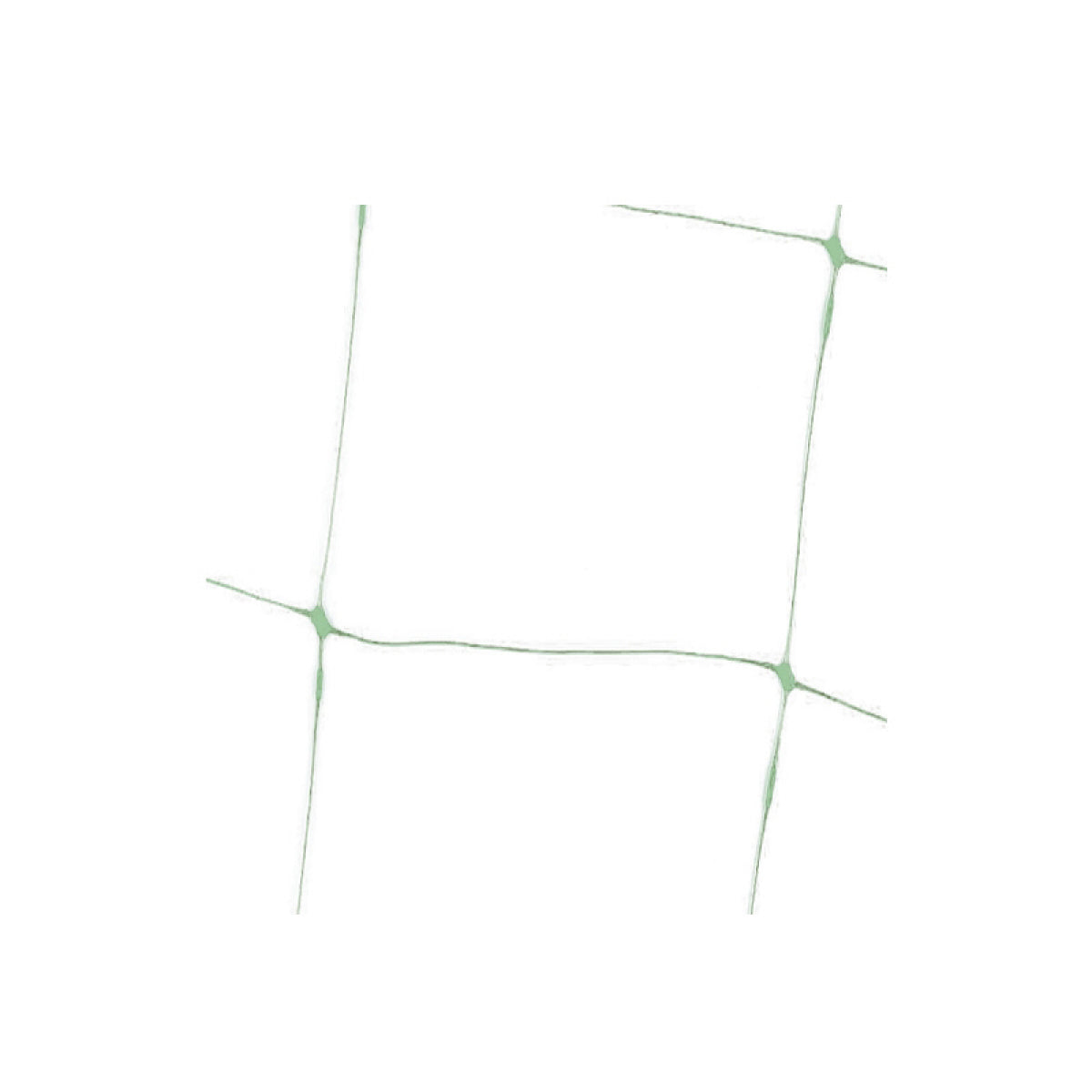 Ranknetz