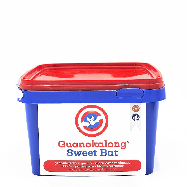 GuanoKalong Sweet Bat