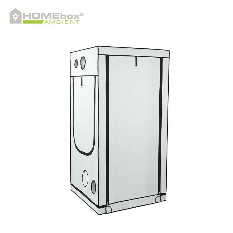 HOMEBOX Ambient Q100 1