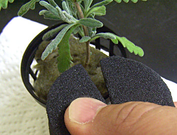 Neopren Clone Holder 2