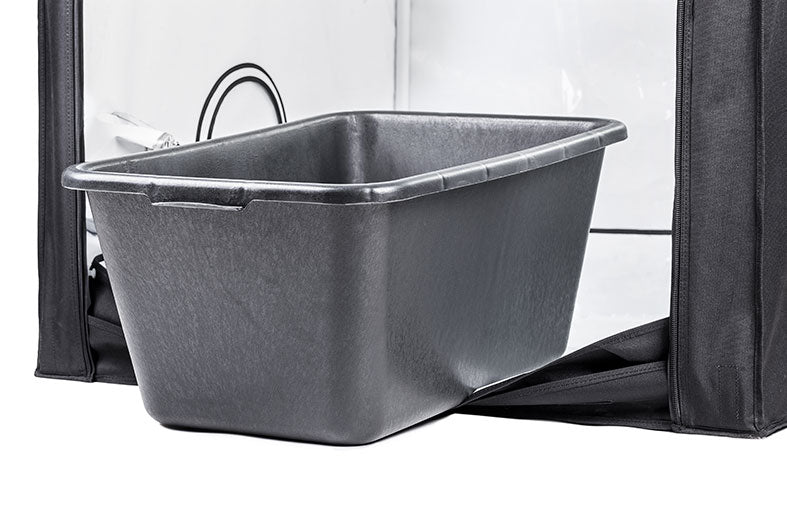 HOMEBOX Ambient  Q80 7