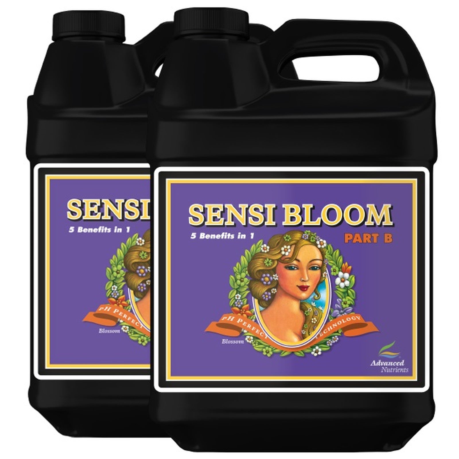 Advanced Nutrients Sensi Bloom A & B pH-Perfect