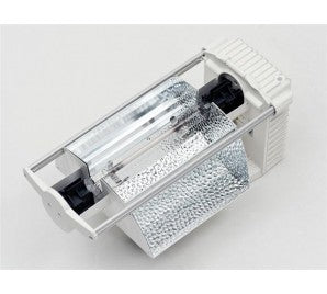 E- Papillon 1000 Watt 400Volt 2