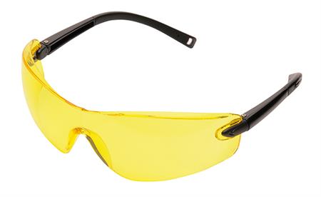 Schutzbrille