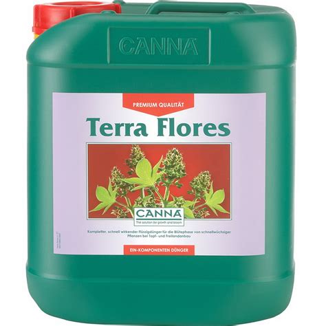 Canna terra Flores