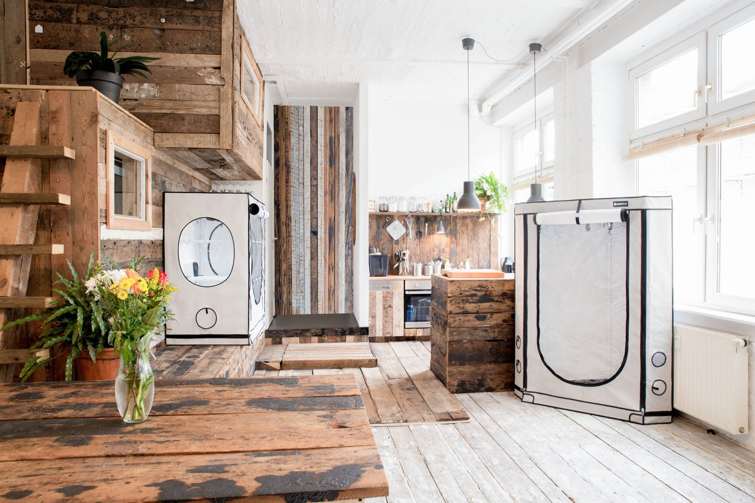 HOMEBOX Ambient  Q60  2