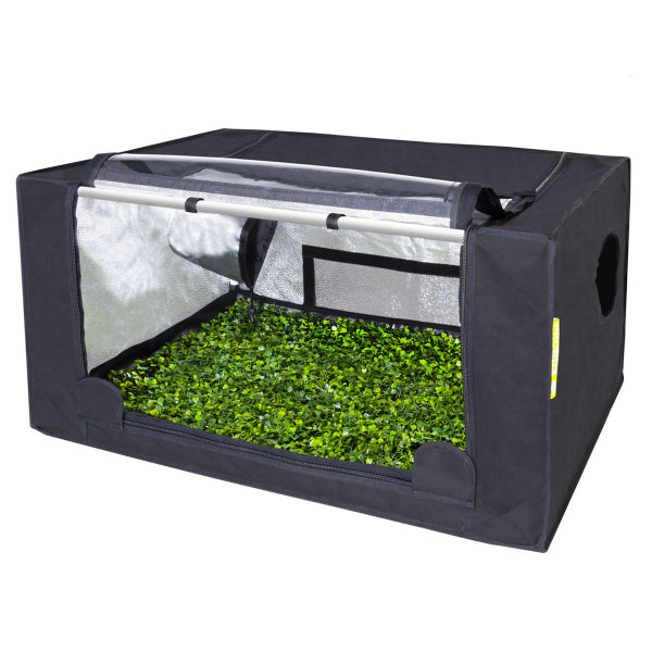 GHP Propagator