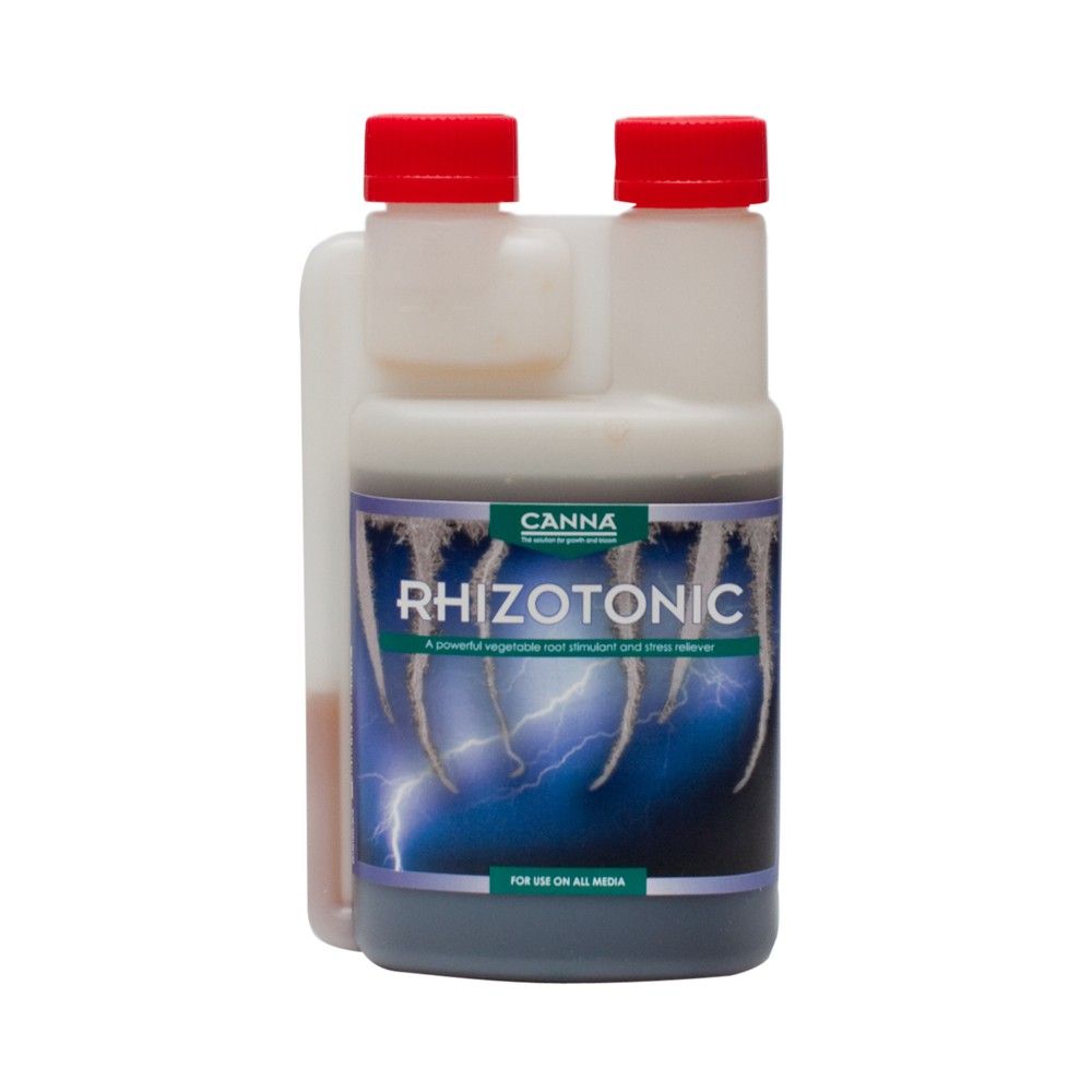 Canna Rhizotonic