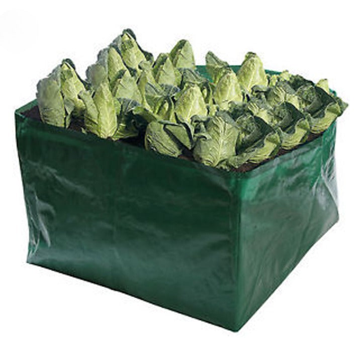 Veggie Bag