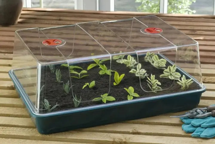 Garland Gewächshaus | High Dome Propagator XL 40 Garland