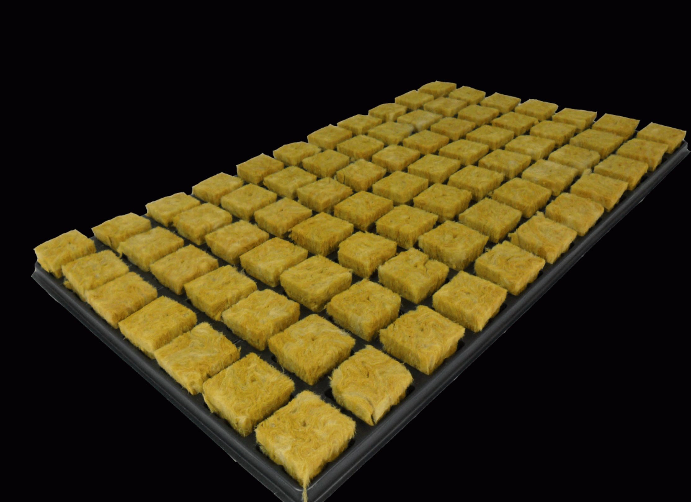 Stecklings Tray von Cultilene für 77 Pflanzen