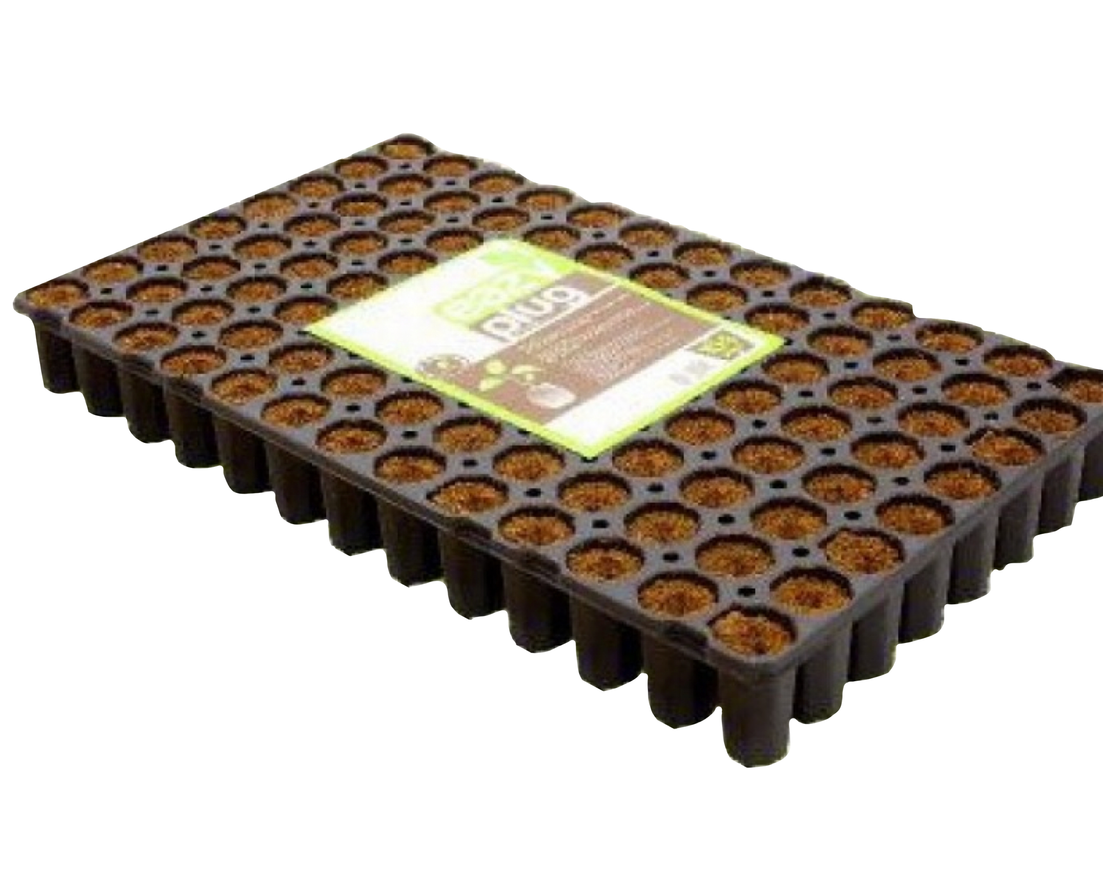 Eazyplugs Anzuchtswürfel rund