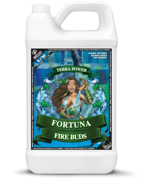 Terra Power - Fortuna - Fire Buds