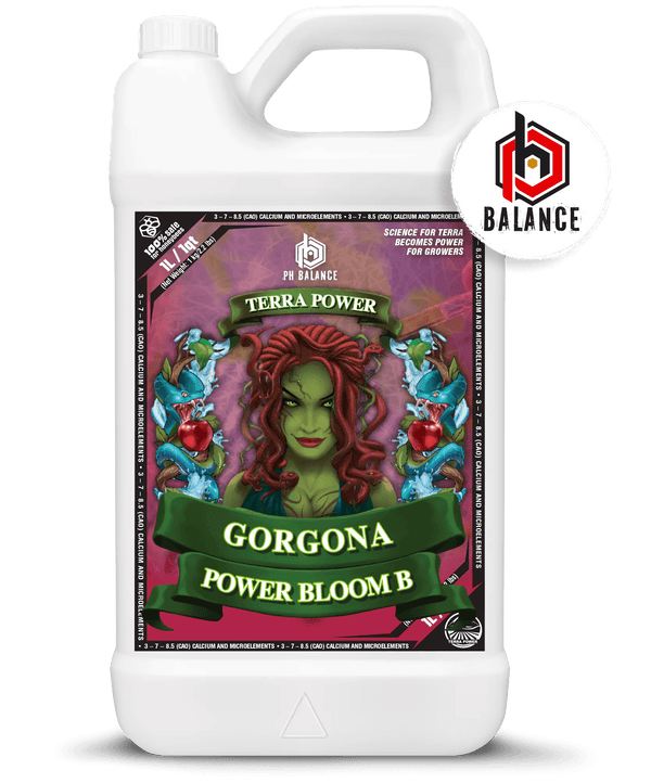 Terra Power - Gorgona - Power Bloom A&B