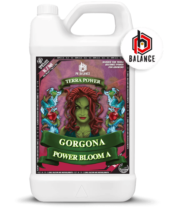 Terra Power - Gorgona - Power Bloom A&B