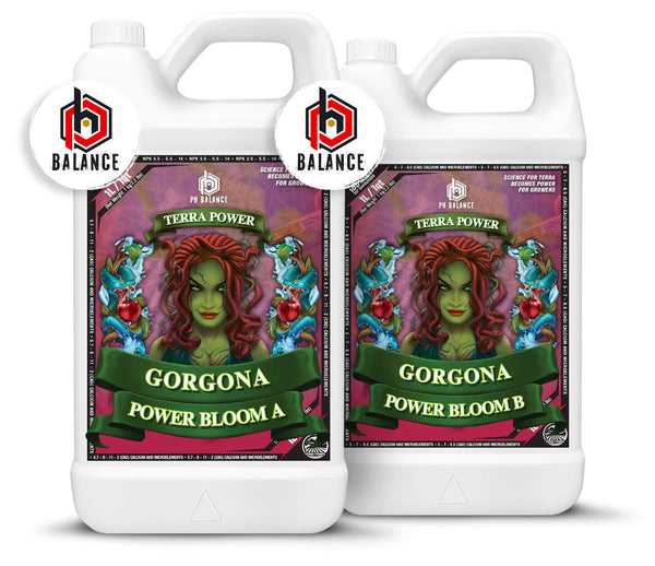 Terra Power - Gorgona - Power Bloom A&B