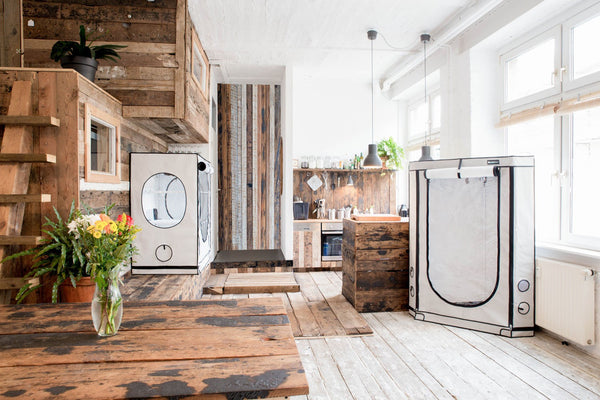 HOMEBOX Ambient  Q60  2