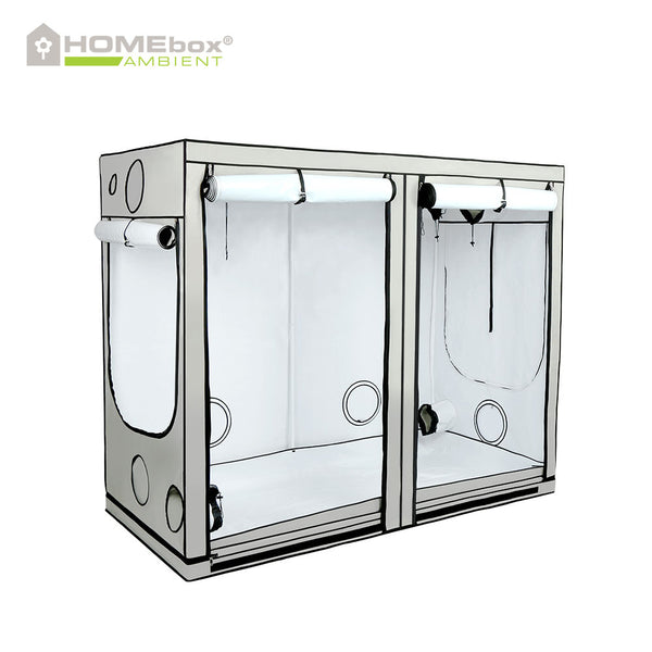 HOMEBOX Ambient R240  0