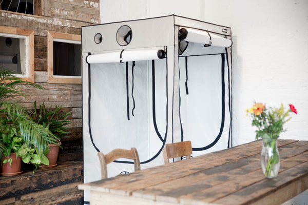 HOMEBOX Ambient Q120 1