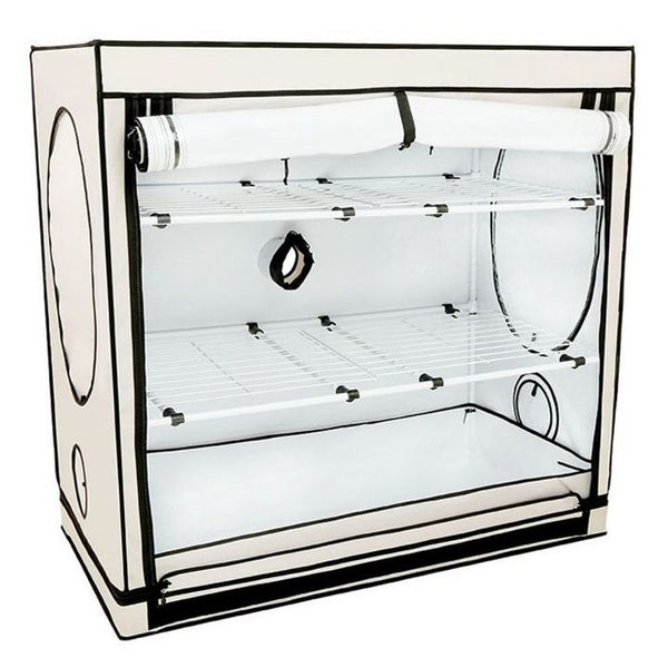 HomeBox Vista Medium